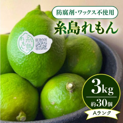 【防腐剤・ワックス不使用】糸島れもんA3kg(30個前後)糸島市/株式会社糸島れもん[AYL001]