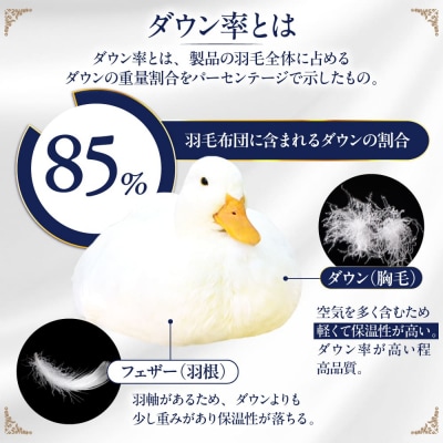 【糸島羽毛ふとん訳あり】羽毛布団柄おまかせダウン85%【ダブル】[AYM005