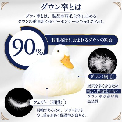 【糸島羽毛ふとん 訳あり】羽毛布団柄おまかせダウン90%【ダブル】[AYM007]