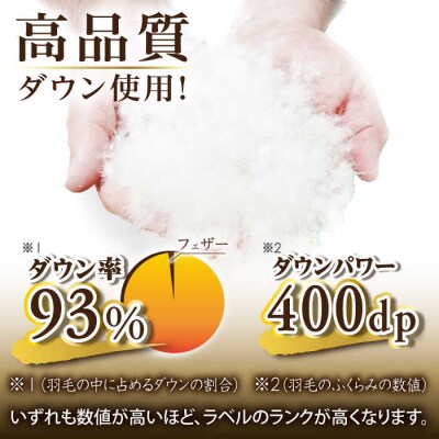 【年内発送】【糸島羽毛ふとん 訳あり】羽毛布団柄おまかせダウン93%【ダブル】[AYM009]