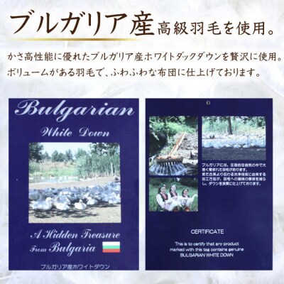 【年内発送】【糸島羽毛ふとん高級ダウン使用】羽毛布団無地ダウン93%【ダブル】[AYM017]
