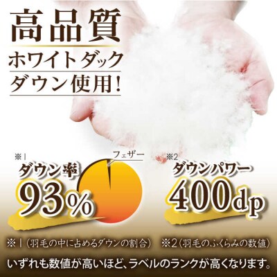 【年内発送】【糸島羽毛ふとんセミダブル】羽毛布団無地ダウン93%糸島市/株式会社三樹[AYM019]