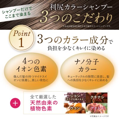 【全12回定期便】利尻カラーシャンプー+利尻ヘアカラートリートメント[AZA041]