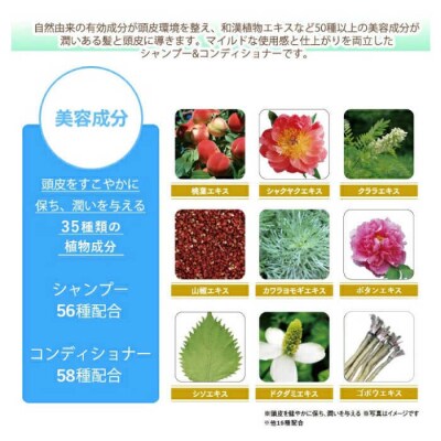 [薬用]利尻頭皮シャンプー[医薬部外品]+[薬用]コンディショナー[医薬部外品]2本[AZA098]