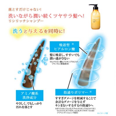 【2本セット】リシリッチシャンプー[無添加]+リシリッチコンディショナー[無添加][AZA133]