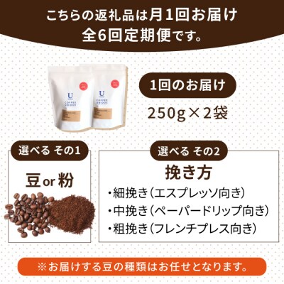 【全6回定期便】種類おまかせ中煎りコーヒー定期便【選べる豆or粉[AQF016]