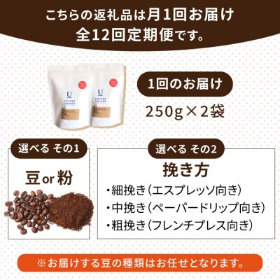 【全12回定期便】種類おまかせ中煎りコーヒー定期便【選べる豆or粉[AQF017]