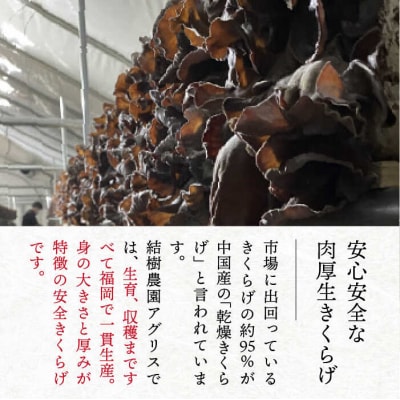 【全12回定期便】結樹農園アグリス めんたいきくらげ 300g×3P [AAJ010]