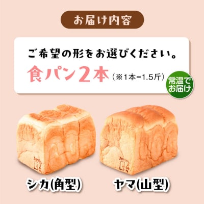トーストが美味しい!【常温】こだわり食パン2本(プレーン) 角型 山型 糸島食ぱんや[AAP014]