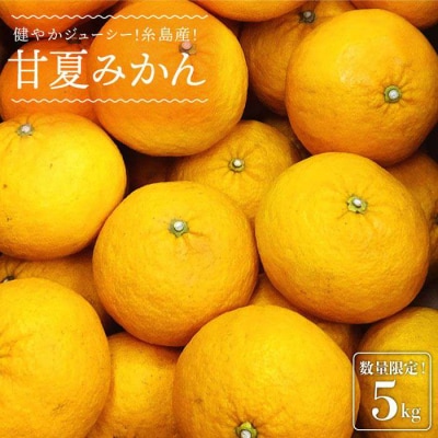 健やかジューシー・夏の味 糸島産甘夏みかんM-L玉・約5kg 二丈赤米産直センター [ABB007]
