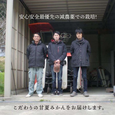 健やかジューシー・夏の味 糸島産甘夏みかんM-L玉・約5kg 二丈赤米産直センター [ABB007]