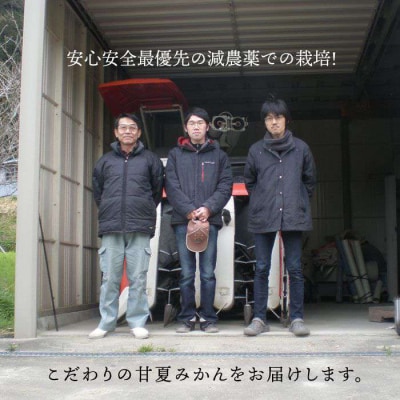 健やかジューシー・夏の味 糸島産甘夏みかんM-L玉・約3kg 二丈赤米産直センター [ABB008]