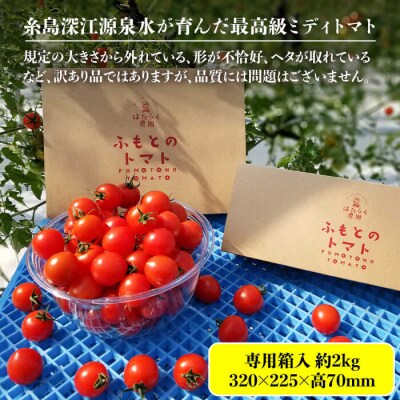 【訳あり】糸島二丈岳 【ふもとのトマト】 約2kg 専用箱入り/株式会社さいかい[AFL003]