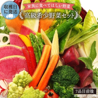 栽培期間中農薬・化学肥料不使用 こだわり野菜セット オーガニックナガミツファーム[AGE014]