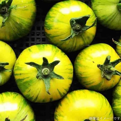 栽培期間中農薬・化学肥料不使用 こだわり高級野菜セット オーガニックナガミツファーム[AGE014]