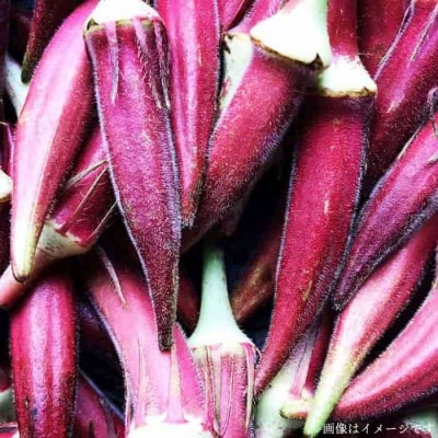 栽培期間中農薬・化学肥料不使用 こだわり高級野菜セット オーガニックナガミツファーム[AGE014]