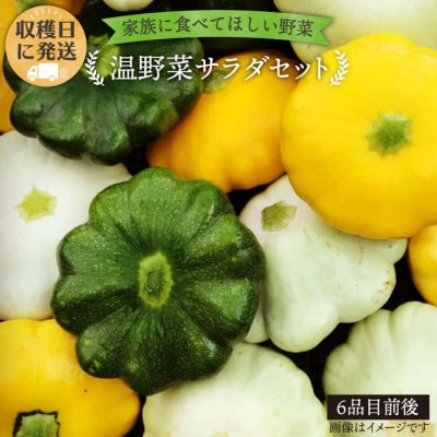 栽培期間中農薬・化学肥料 不使用 温野菜サラダセット オーガニックナガミツファーム [AGE015]