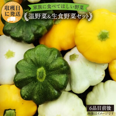 栽培期間中農薬・化学肥料不使用 温野菜&生食野菜セット オーガニックナガミツファーム[AGE015]