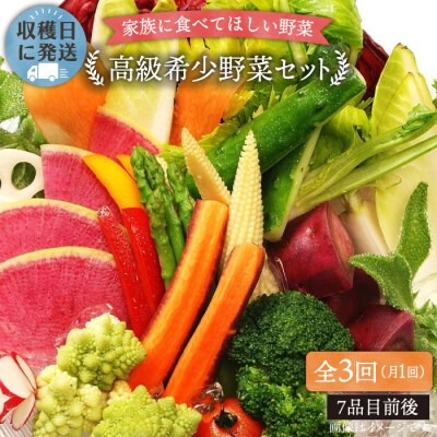 【全3回定期便】農薬化学肥料不使用 こだわり野菜セット オーガニックナガミツファーム[AGE016]