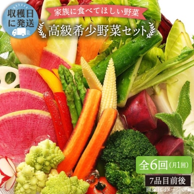 【全6回定期便】農薬化学肥料不使用 こだわり野菜セット オーガニックナガミツファーム[AGE017]