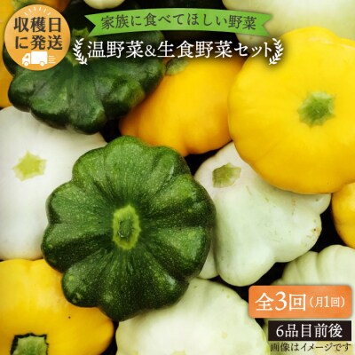 【全3回定期便】糸島産 朝採れ 温野菜&生食野菜セット オーガニックナガミツファーム[AGE019]