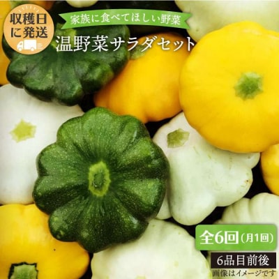 【全6回定期便】朝採れ 温野菜サラダセット(6品前後)オーガニックナガミツファーム[AGE020]