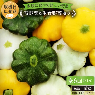 【全6回定期便】糸島産 朝採れ 温野菜&生食野菜セット オーガニックナガミツファーム[AGE020]