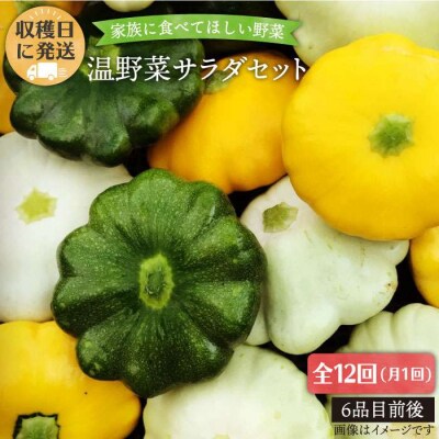 【全12回定期便】糸島産 朝採れ 温野菜サラダセット オーガニックナガミツファーム[AGE021]