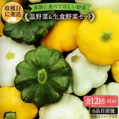 【全12回定期便】糸島産朝採れ 温野菜&生食野菜セット オーガニックナガミツファーム[AGE021]