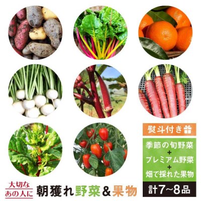 旬 野菜+プレミアム野菜+果物 セット 熨斗付き オーガニックナガミツファーム[AGE022]