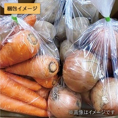 糸島産野菜3種詰め合わせ(人参玉ねぎジャガイモ各1kg)オーガニックナガミツファーム[AGE027]