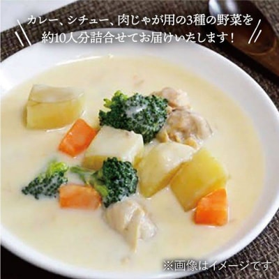 糸島産野菜3種詰め合わせ(人参玉ねぎジャガイモ各1kg)オーガニックナガミツファーム[AGE027]