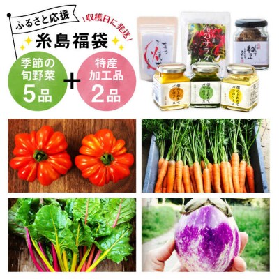 糸島の福袋!朝採りオーガニック旬野菜お任せ5品+糸島産大ヒット特産加工品2品セット [AGE028]