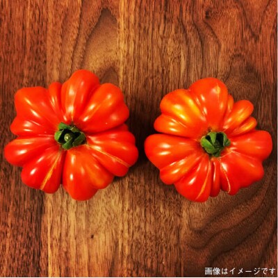糸島の福袋!朝採りオーガニック旬野菜お任せ5品+糸島産大ヒット特産加工品2品セット [AGE028]