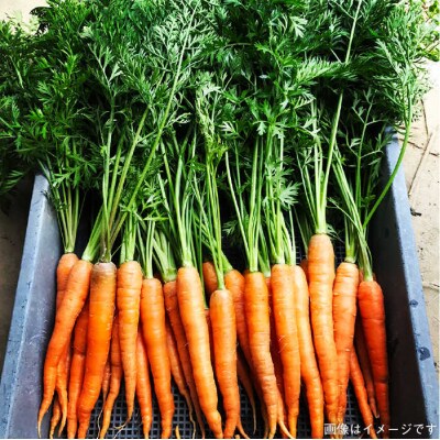 糸島の福袋!朝採りオーガニック旬野菜お任せ5品+糸島産大ヒット特産加工品2品セット [AGE028]