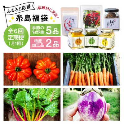 【全6回定期便】朝採りオーガニック旬野菜5品+糸島産 大ヒット特産加工品2品セット[AGE030]