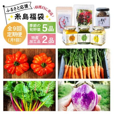 【全9回定期便】朝採りオーガニック旬野菜5品+糸島産 大ヒット特産加工品2品セット[AGE031]