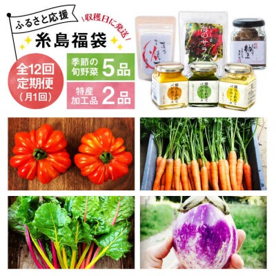 【全12回定期便】朝採りオーガニック旬野菜5品+糸島産 大ヒット特産加工品2品セット[AGE032]