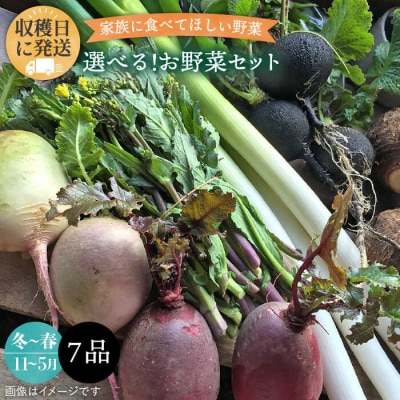 選べる!オーガニック野菜7品セット 冬～春限定【オーガニックナガミツファーム】 [AGE033]