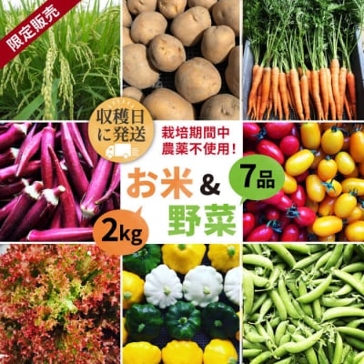 栽培期間中農薬不使用!お米2kg & 野菜7品のセット オーガニックナガミツファーム[AGE035]