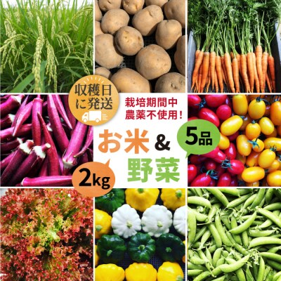 栽培期間中農薬不使用!お米2kg & 野菜5品のセット オーガニックナガミツファーム[AGE035]