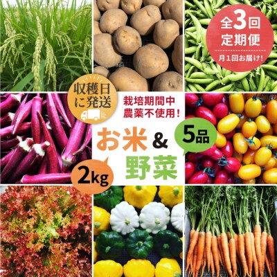 【全3回定期便】☆畑直送☆限定!栽培期間中農薬不使用!お米2kg&野菜5品セット[AGE036]