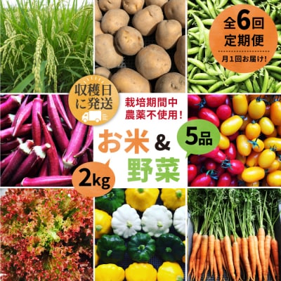 【全6回定期便】☆畑直送☆限定!栽培期間中農薬不使用!お米2kg&野菜5品セット[AGE037]