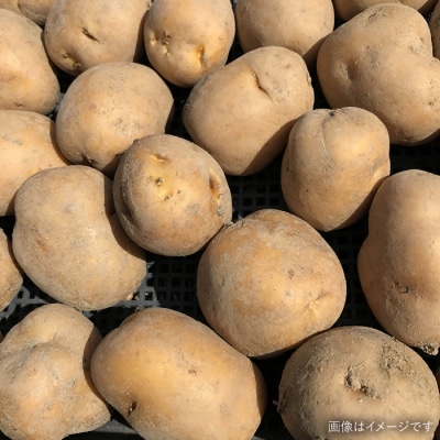 【全6回定期便】☆畑直送☆限定!栽培期間中農薬不使用!お米2kg&野菜5品セット[AGE037]