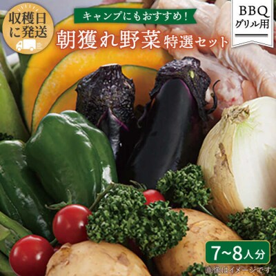 バーベキュー・グリル用朝獲れ野菜特選セット 福岡県糸島産(7～8人分) [AGE039]