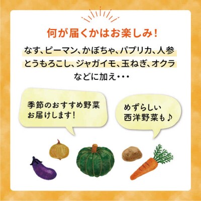 バーベキュー・グリル用朝獲れ野菜特選セット 福岡県糸島産(7～8人分) [AGE039]