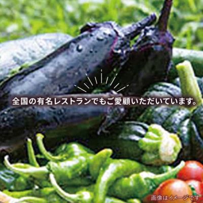 バーベキュー・グリル用朝採れ野菜特選セット 福岡県糸島産(7-8人分) [AGE039]