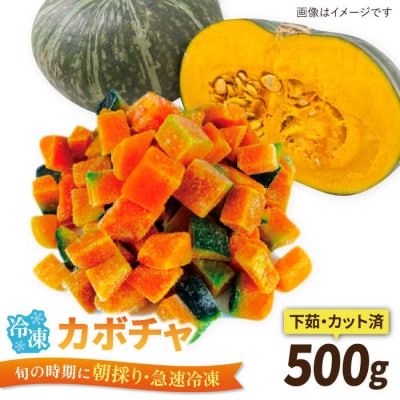 カボチャ 500g 冷凍カット済み 福岡県糸島産 オーガニックナガミツファーム [AGE041]