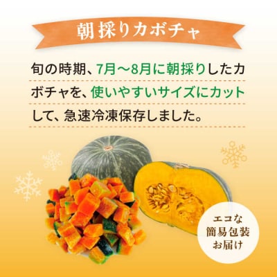 カボチャ 500g 冷凍カット済み 福岡県糸島産 オーガニックナガミツファーム [AGE041]