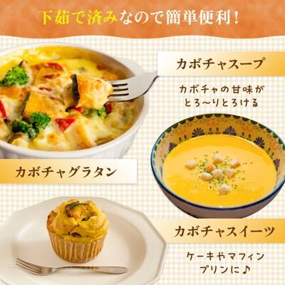 カボチャ 500g 冷凍カット済み 福岡県糸島産 オーガニックナガミツファーム [AGE041]